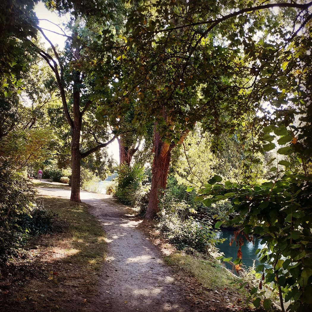 Bord de Marne 1